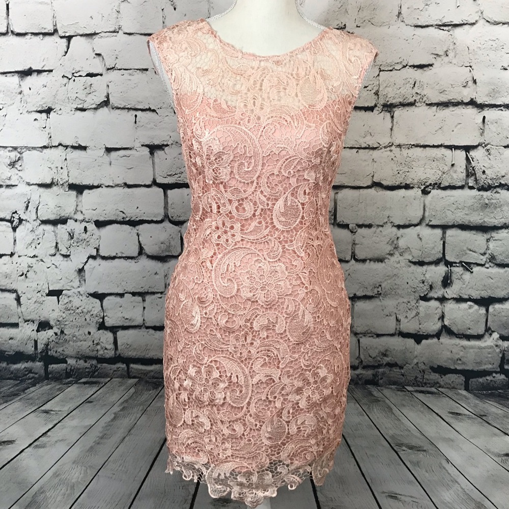 Francesca’s Aina Be Light Pink Lace Dress